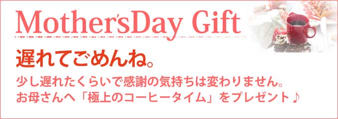 母の日ギフト特集